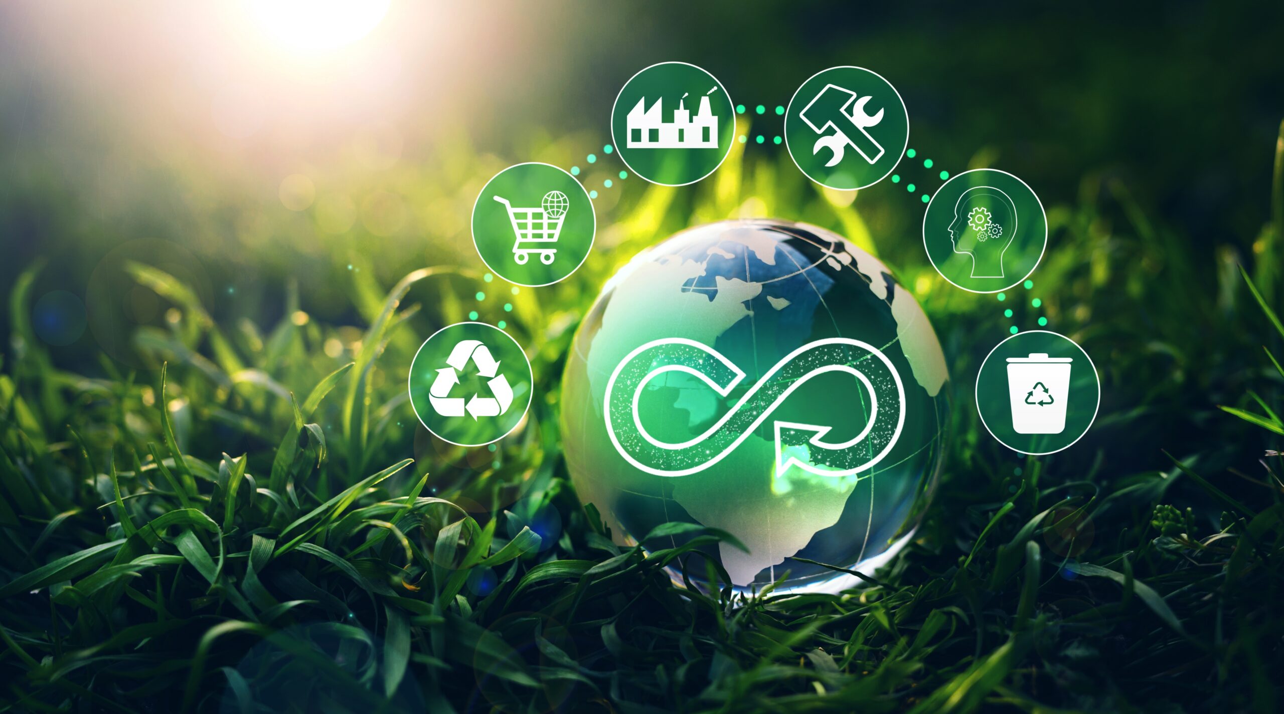 Dynamic Lifecycle Innovations supports e-waste takeback programs with a focus on circular economy and sustainability solutions.