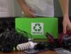 A man sorting through a table full of corporate electronics to place in an e-waste recycling box.