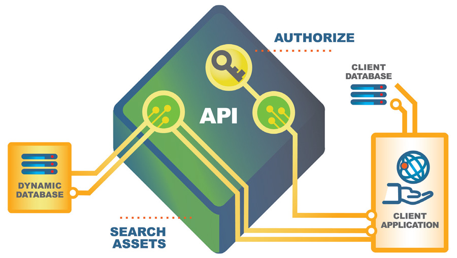 Example infographic of how Dynamic Lifecycle Innovations API Solution works.