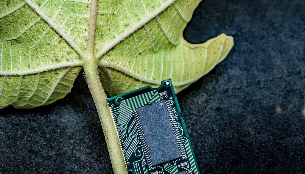 Computer chip laying by a green leaf.