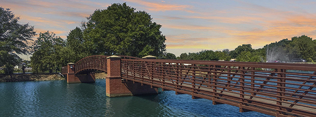 a walking bridge over a calm pond with ducks in Hendersonville, TN